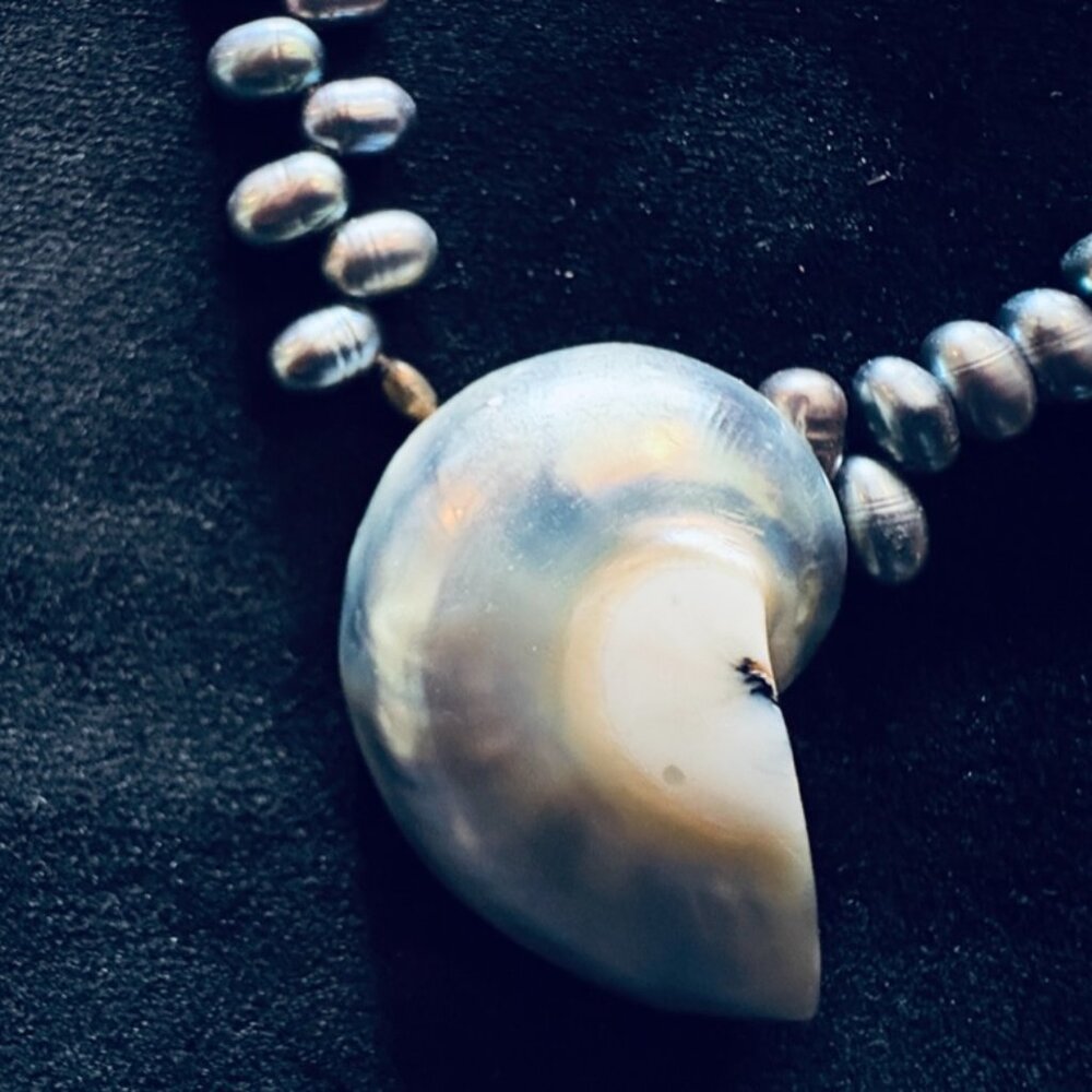 Fresh Water Black Pearls, Shell Centre, Earrings
